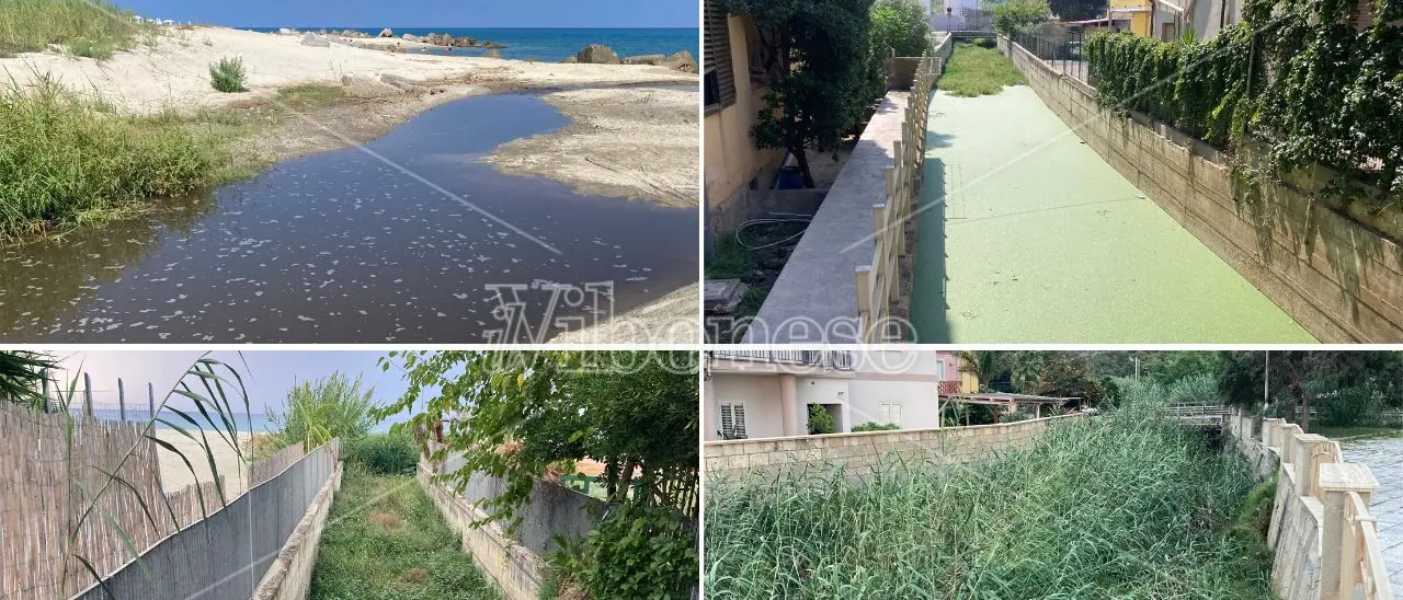 I torrenti del disastro ambientale di Bivona: Sant'Anna, Tomarchiello, Bravo e Antonucci dopo un'estate da dimenticare - VIDEO