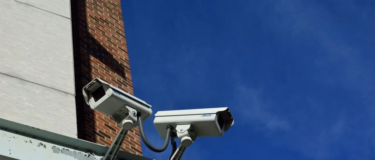 Fondi per la sicurezza urbana, la federazione provinciale Fi: «Dal governo Meloni grande attenzione al territorio vibonese»