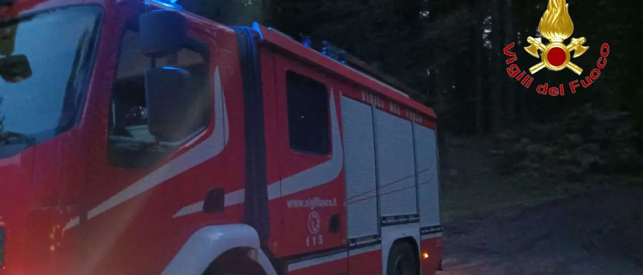 Vanno a funghi e si perdono nei boschi delle Serre, in due rintracciati dai vigili del fuoco