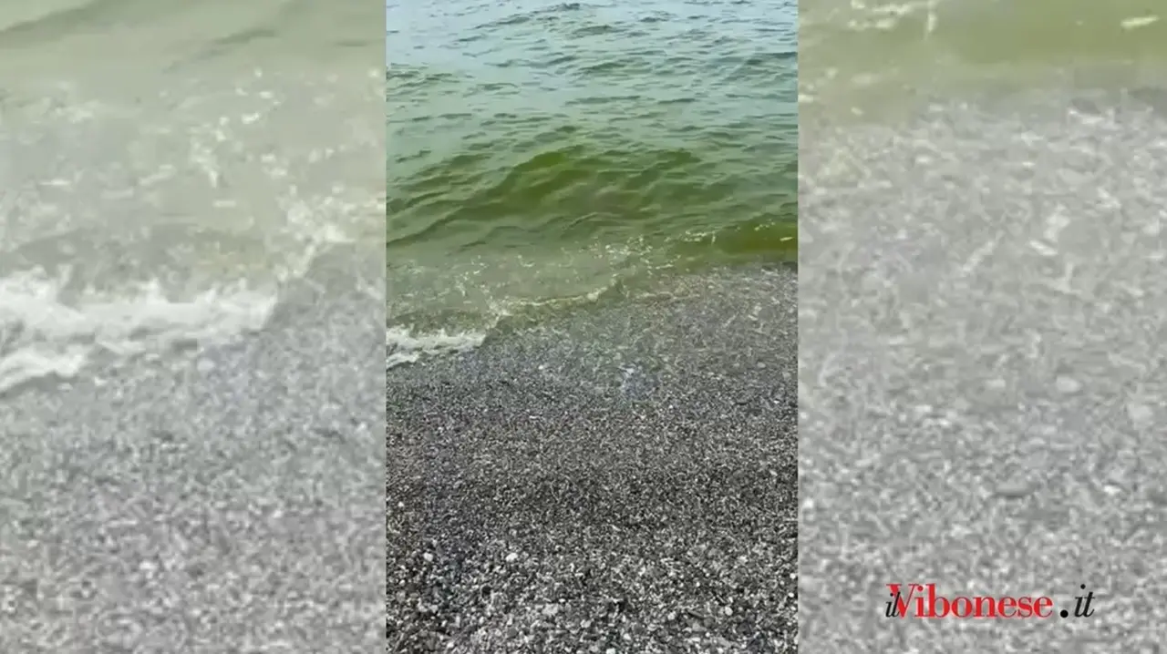 Cartolina di fine estate all’Arpacal: un cittadino di Pizzo documenta il mare ancora verde che rovina le vacanze agli ultimi turisti - Video