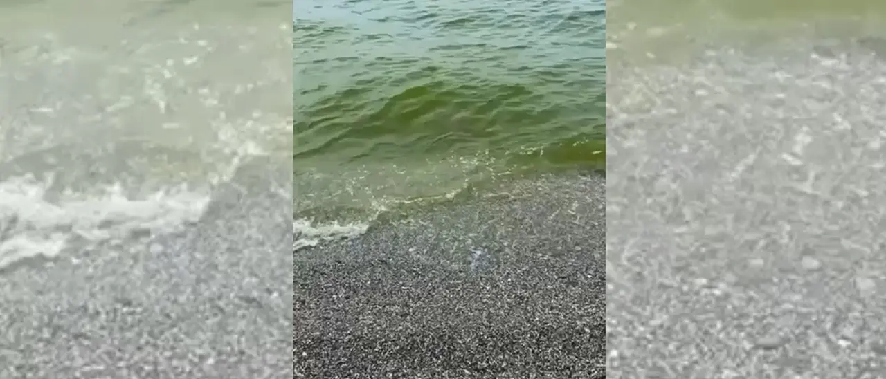 Cartolina di fine estate all’Arpacal: un cittadino di Pizzo documenta il mare ancora verde che rovina le vacanze agli ultimi turisti - Video