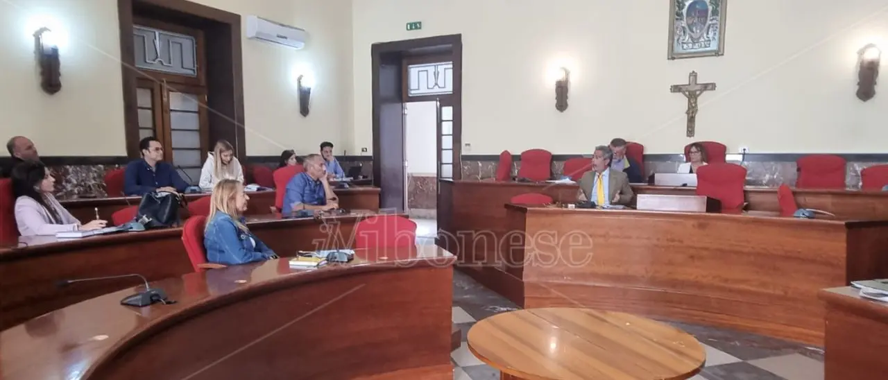 Consulente d’oro al Comune di Vibo? Ci vogliono due lauree. Talarico: «Se i candidati ammessi saranno pochi riapriremo i termini»