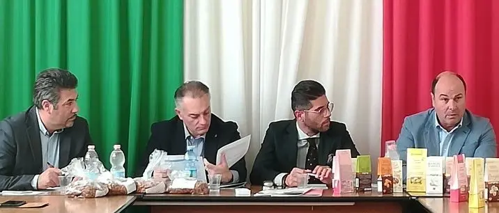 La filiera della mandorla nuova opportunità per le imprese vibonesi