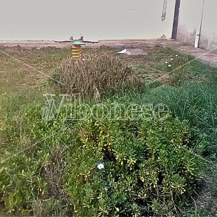 Ricadi, ancora erbacce nel cortile del plesso scolastico di Orsigliadi: l’opposizione dà voce alle lamentele dei genitori e avanza una proposta