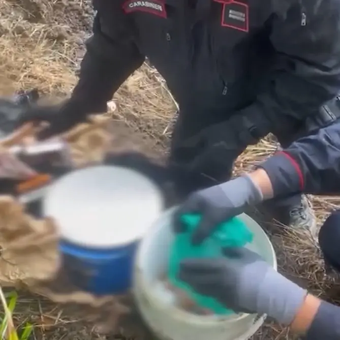 Scoperti tre arsenali clandestini nel Vibonese: c'erano anche armi da guerra e droga - Video