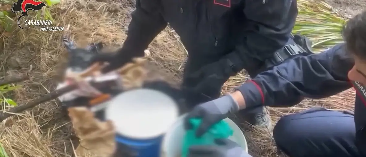 Scoperti tre arsenali clandestini nel Vibonese: c'erano anche armi da guerra e droga - Video