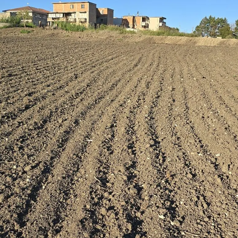 Mileto, proprietari di terreni agricoli sul piede di guerra per il pagamento dell’Imu: «Il Comune non rispetta la legge regionale»