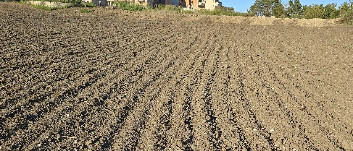 Mileto, proprietari di terreni agricoli sul piede di guerra per il pagamento dell’Imu: «Il Comune non rispetta la legge regionale»