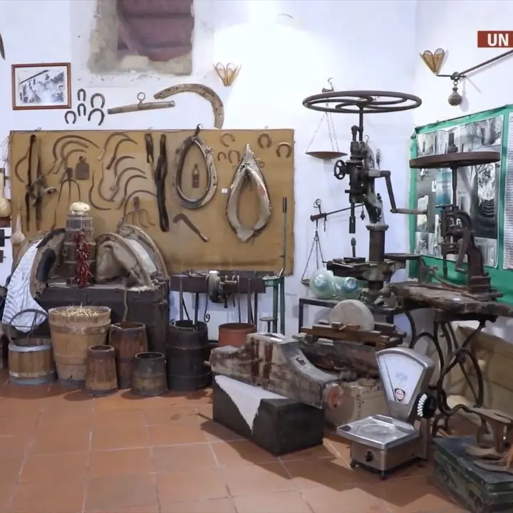 Il museo della civiltà contadina di Zungri: scrigno della memoria dove un’intera comunità custodisce il proprio passato