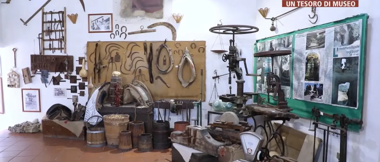 Il museo della civiltà contadina di Zungri: scrigno della memoria dove un’intera comunità custodisce il proprio passato