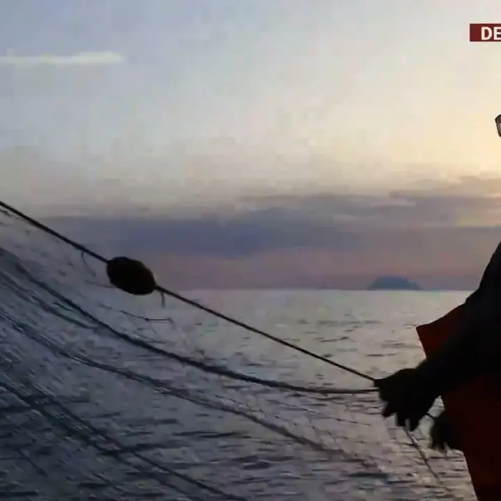 L’avvocato-pescatore di Tropea, la storia di Antonio: «Ho lasciato gli studi in legge e sono tornato in mare con mio padre. Ora sono libero»