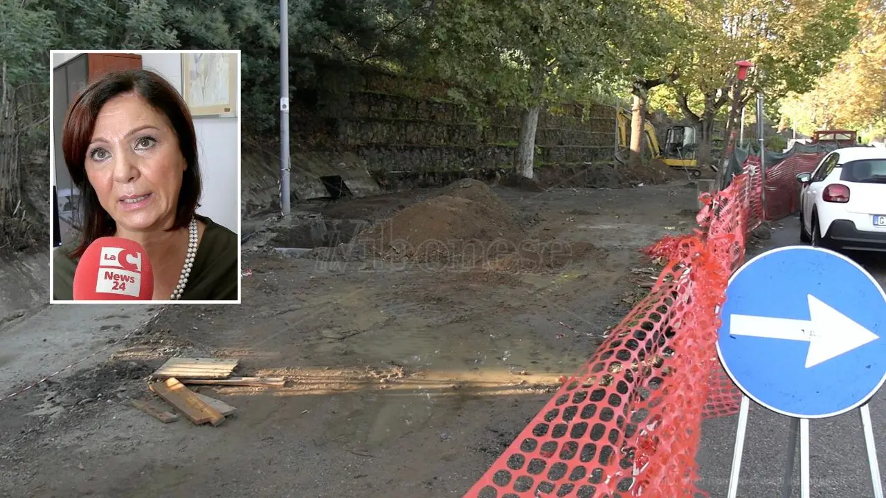 Attivata la navetta tra la stazione, la città e Vibo Marina. L’assessore Pilegi: «Stavolta abbiamo fatto in fretta». Ecco gli orari - Video