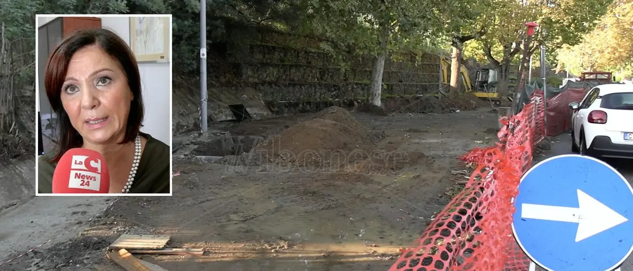 Attivata la navetta tra la stazione, la città e Vibo Marina. L’assessore Pilegi: «Stavolta abbiamo fatto in fretta». Ecco gli orari - Video