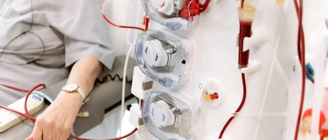 Nel Vibonese buoni numeri per la dialisi peritoneale, l'Aned: «Primi in Calabria ma serve adeguare i locali dell'ospedale»