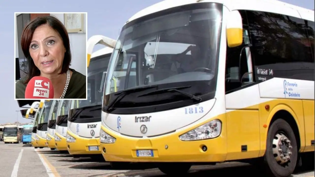 Trasporto pubblico a Vibo, l'assessore Pilegi replica a Scalamogna: «Disagi frutto di un'eredità pesante dopo 5 anni di immobilismo»