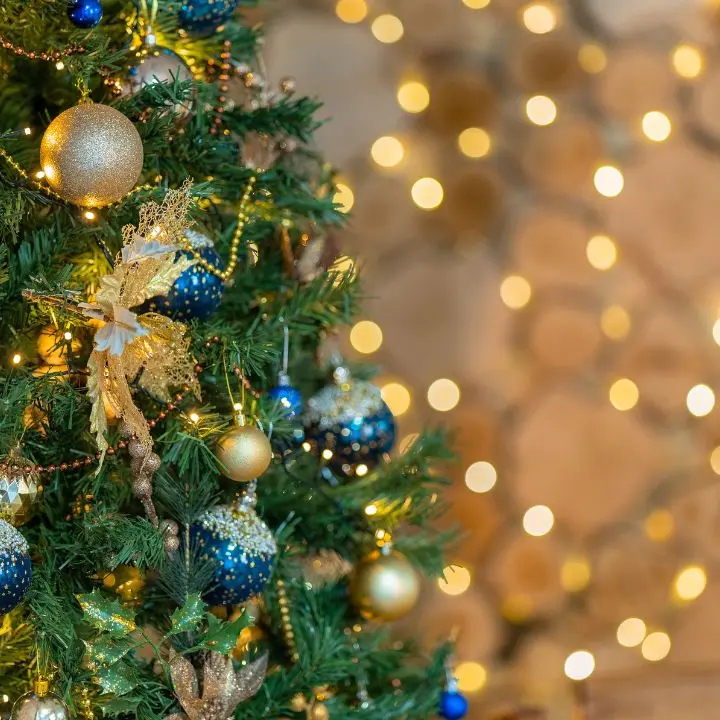 Sponsor cercasi per il Natale vibonese, il Comune pensa a 14 alberi ma scoppia la polemica: «Hanno scordato 3 frazioni»