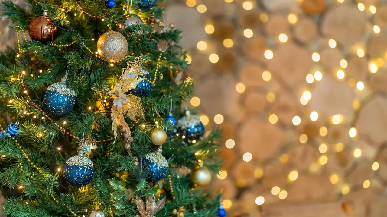 Sponsor cercasi per il Natale vibonese, il Comune pensa a 14 alberi ma scoppia la polemica: «Hanno scordato 3 frazioni»