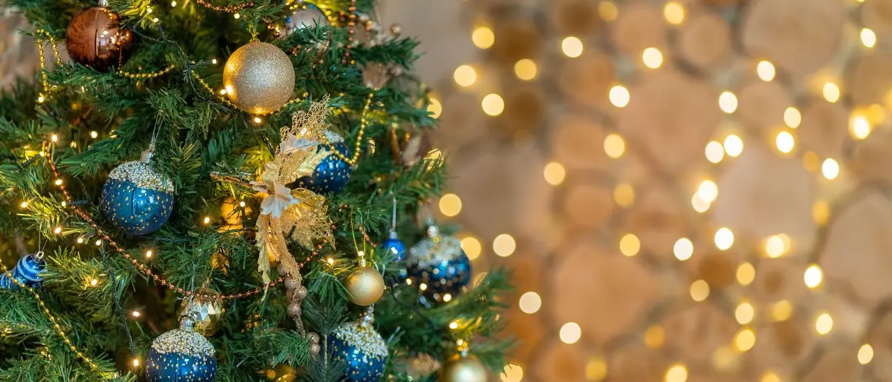 Sponsor cercasi per il Natale vibonese, il Comune pensa a 14 alberi ma scoppia la polemica: «Hanno scordato 3 frazioni»