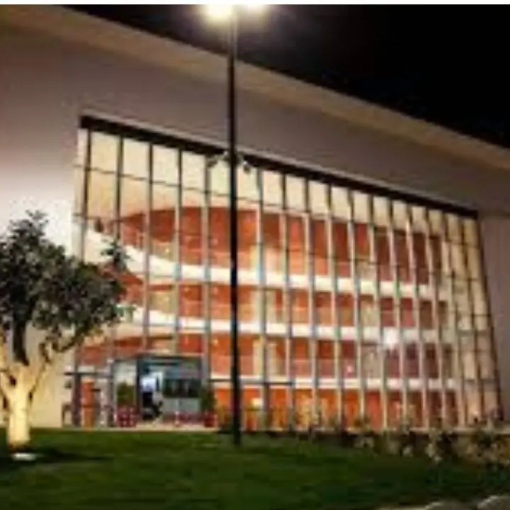 Teatro comunale, la proposta di Mariangela Preta al sindaco: «Sia intitolato a Greta Medini, la violinista che ha portato in alto il nome di Vibo»