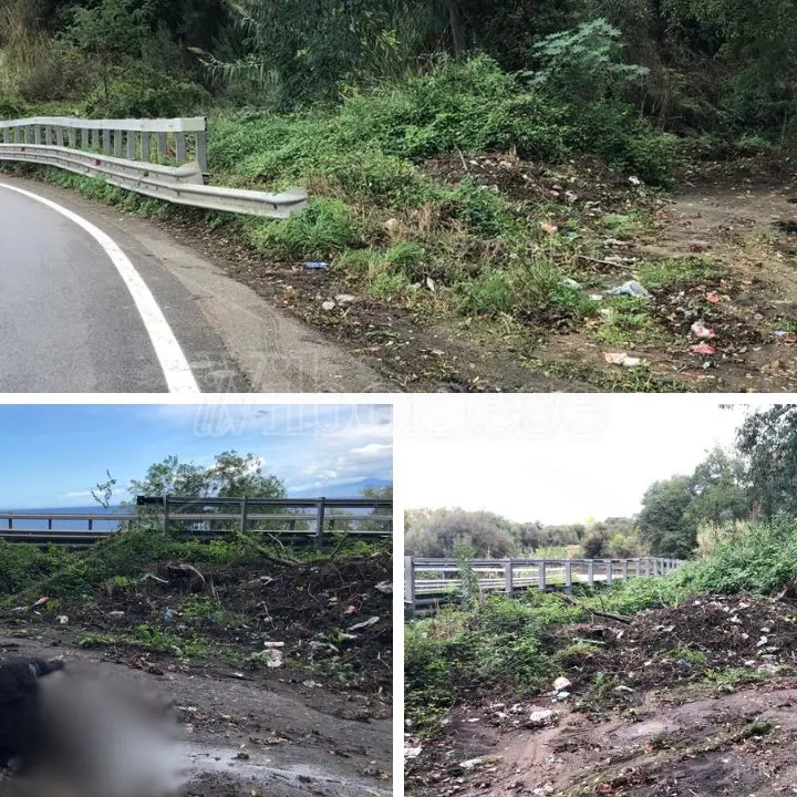 Ancora una carcassa di cinghiale sulle strade vibonesi, stavolta triste spettacolo lungo la statale 182 dopo San Pietro