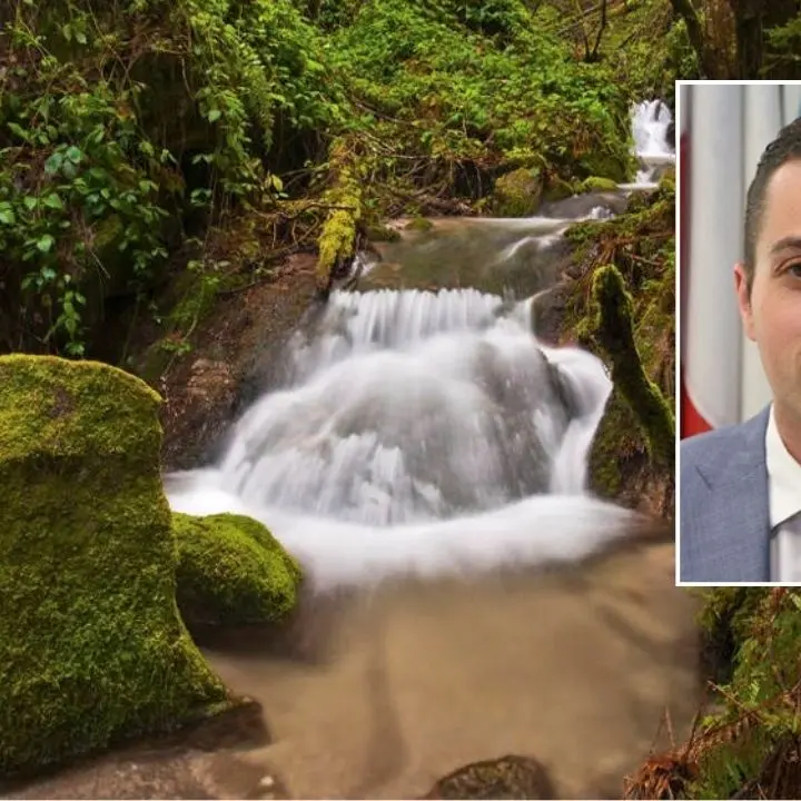 Tassone (Pd) invoca un presidente per il Parco delle Serre: «Inammissibile un commissariamento senza fine»