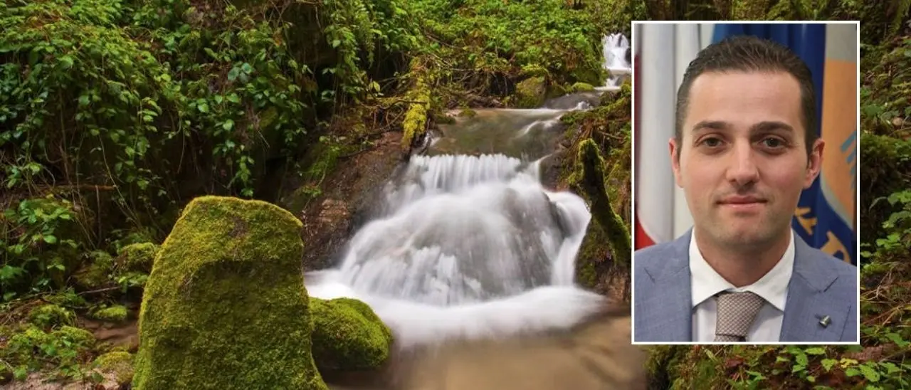 Tassone (Pd) invoca un presidente per il Parco delle Serre: «Inammissibile un commissariamento senza fine»