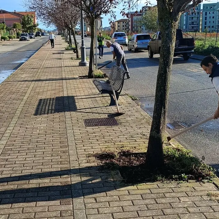 Vibo, le aiuole di viale Saragat ripulite dai volontari dell'associazione Pro Moderata Durant