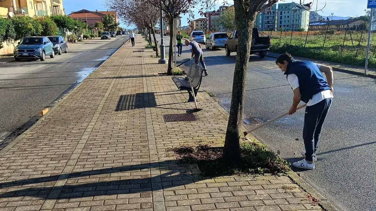 Vibo, le aiuole di viale Saragat ripulite dai volontari dell'associazione Pro Moderata Durant
