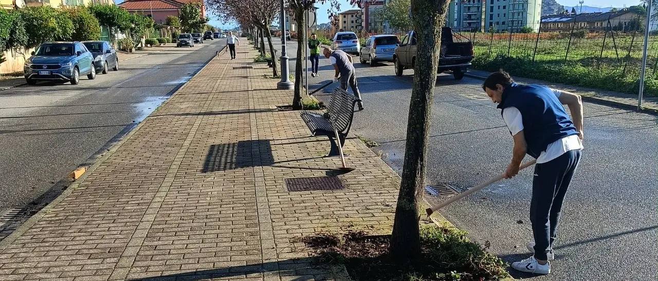 Vibo, le aiuole di viale Saragat ripulite dai volontari dell'associazione Pro Moderata Durant