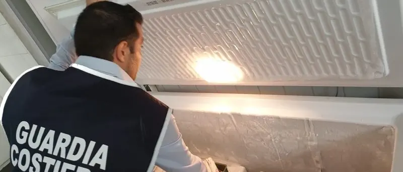 Guardia costiera di Vibo sequestra 35 chili di pesce nel Lametino