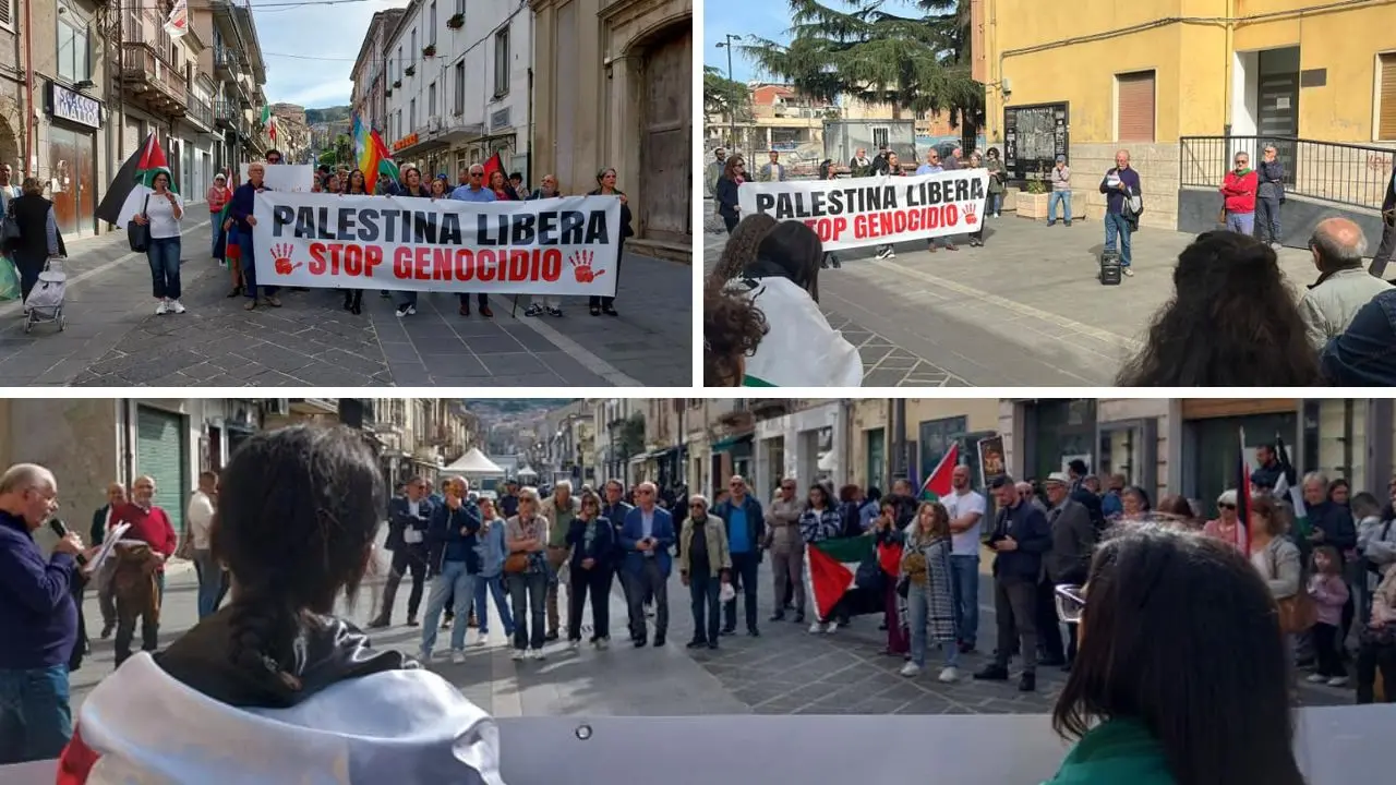 L'Anpi di Vibo in piazza per chiedere il cessate il fuoco in Palestina nella giornata di mobilitazione nazionale: «Non dobbiamo restare indifferenti»