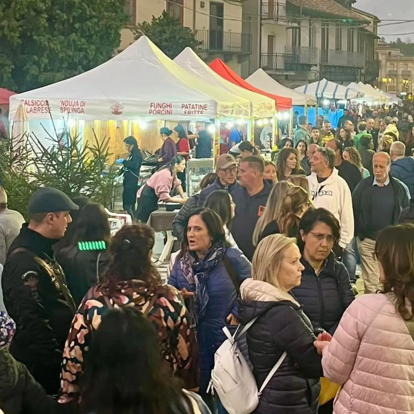 Serra San Bruno celebra il re dei boschi: torna la Festa del Fungo con cinque giorni di eventi tra gusto, musica e natura\n