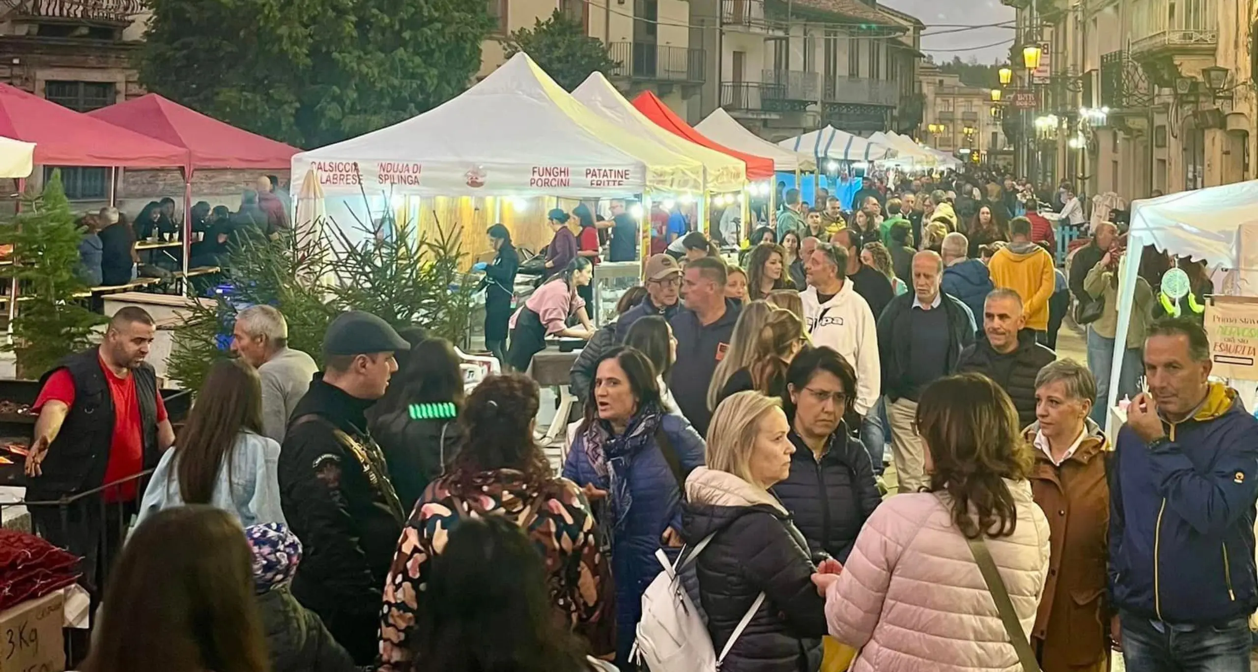 Serra San Bruno celebra il re dei boschi: torna la Festa del Fungo con cinque giorni di eventi tra gusto, musica e natura\n