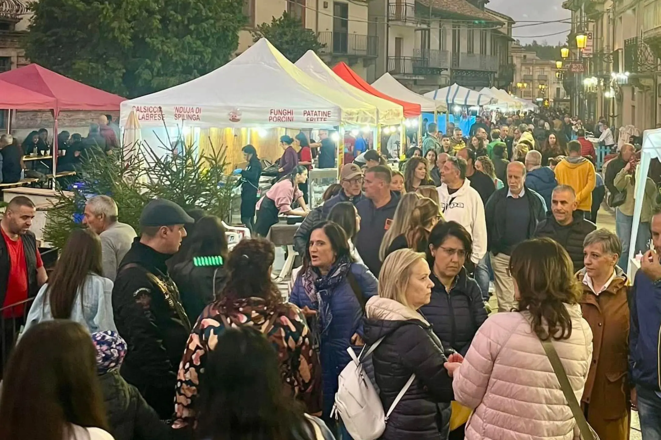 Serra San Bruno celebra il re dei boschi: torna la Festa del Fungo con cinque giorni di eventi tra gusto, musica e natura\n