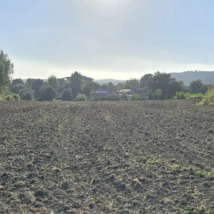 Mileto, prosegue la protesta dei proprietari di terreni agricoli costretti al pagamento dell’Imu
