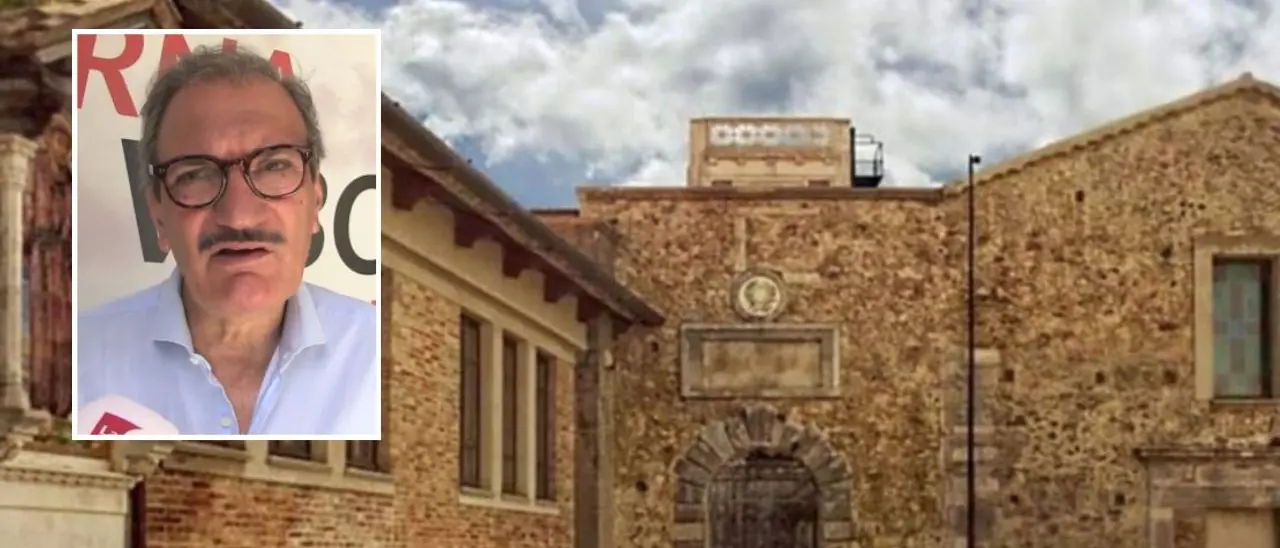 Romeo dimissionario dalla presidenza del Sistema bibliotecario vibonese replica alle accuse: «Spina staccata già anni fa. E non da noi»\n