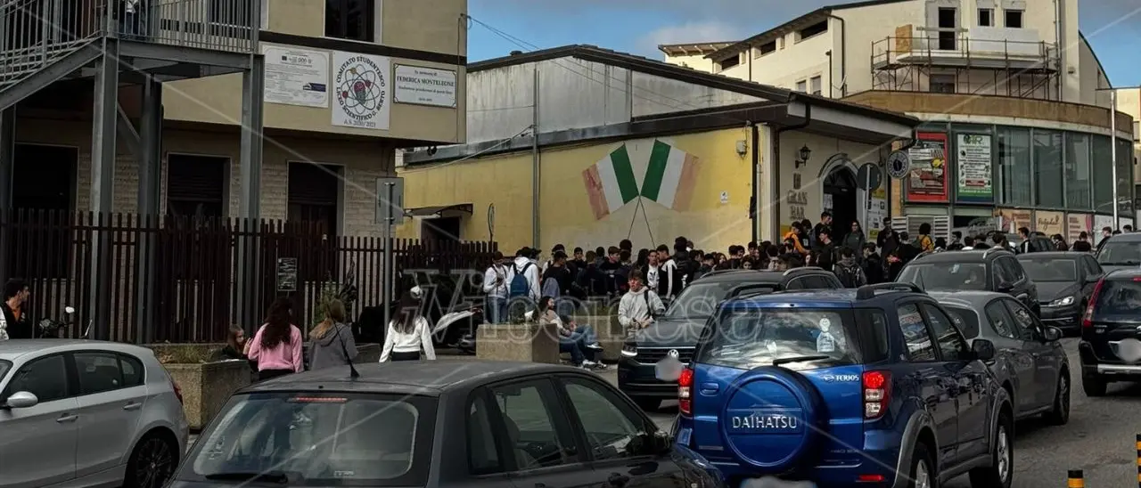 «Non c'è acqua», gli studenti del liceo Berto di Vibo Valentia non entrano in classe