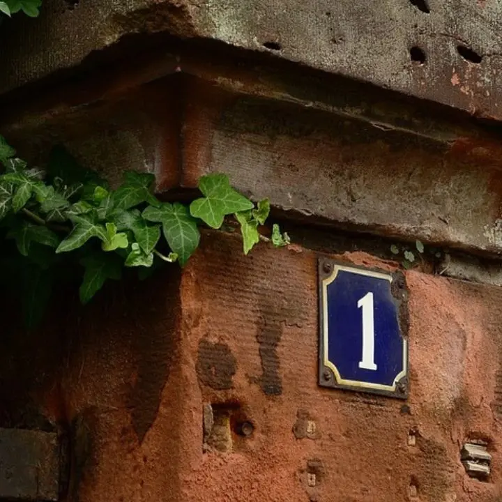 Riordino della toponomastica a Vibo: completata la rilevazione su Moderata Durant, ora Bitonto e Feudotto. Tutte le info