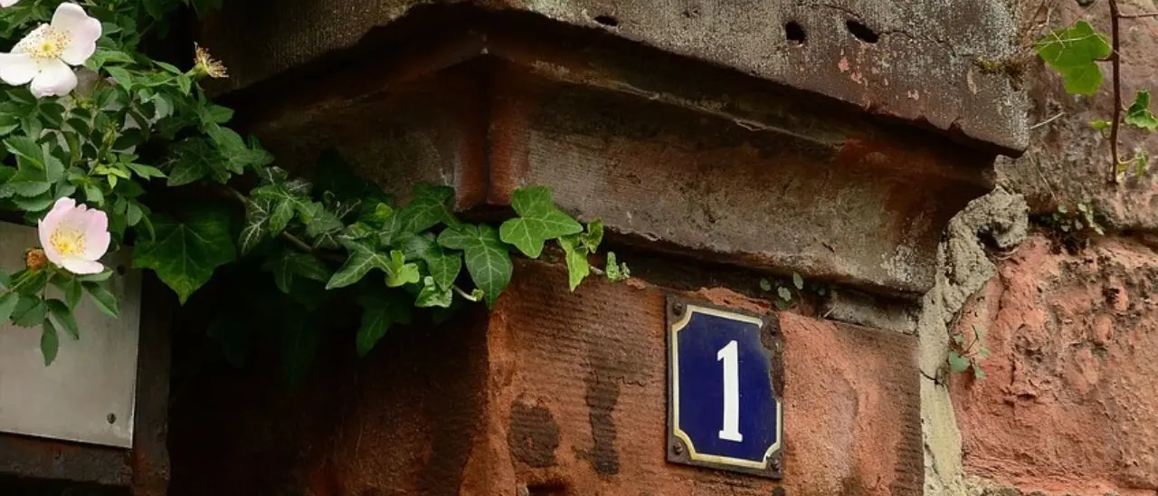 Riordino della toponomastica a Vibo: completata la rilevazione su Moderata Durant, ora Bitonto e Feudotto. Tutte le info