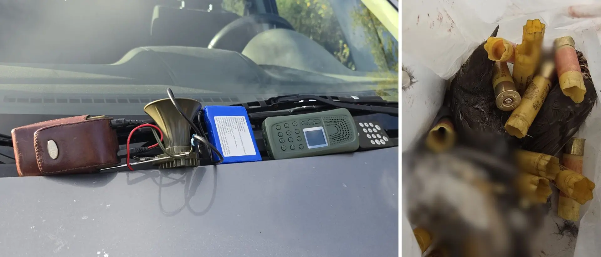 Caccia, usavano richiami elettromagnetici illegali per attirare i turdidi: denunciati dalle guardie venatorie nel Vibonese