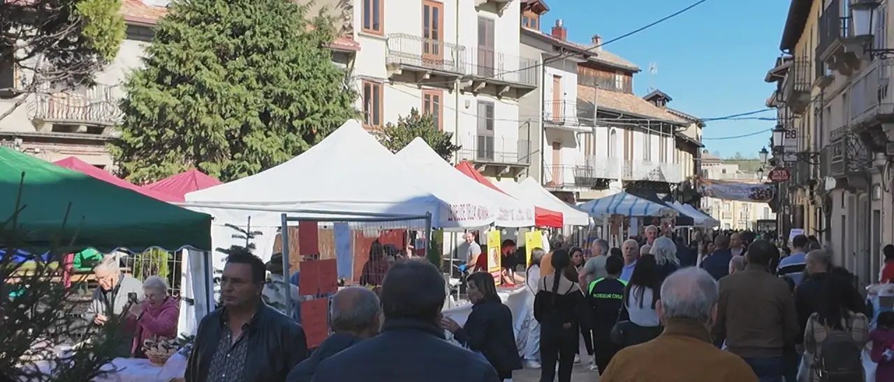 Non solo funghi, Serra ha celebrato la giornata della castagna e del vino. Il sindaco Barillari: «Grazie ai nostri boschi siamo l'anima verde della Calabria»