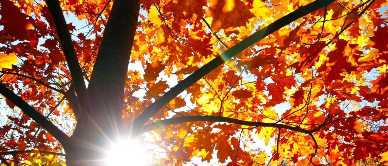 Meteo, nel Vibonese la settimana inizia come è finita farà solo un po’ più freddo di notte: ancora tempo stabile