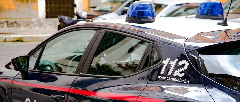 Armi e proiettili trovati dai carabinieri nel Vibonese, scattano sequestri e denunce