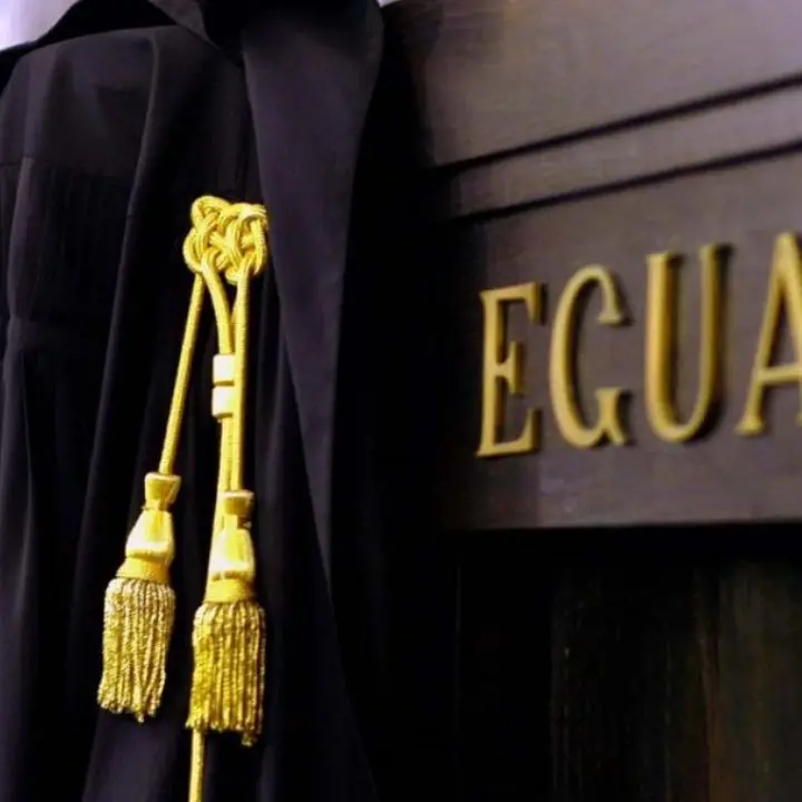 Operazione Artemis: il Riesame di Catanzaro annulla la custodia cautelare per Cracolici, arresti tramutati in domiciliari per Guerrieri