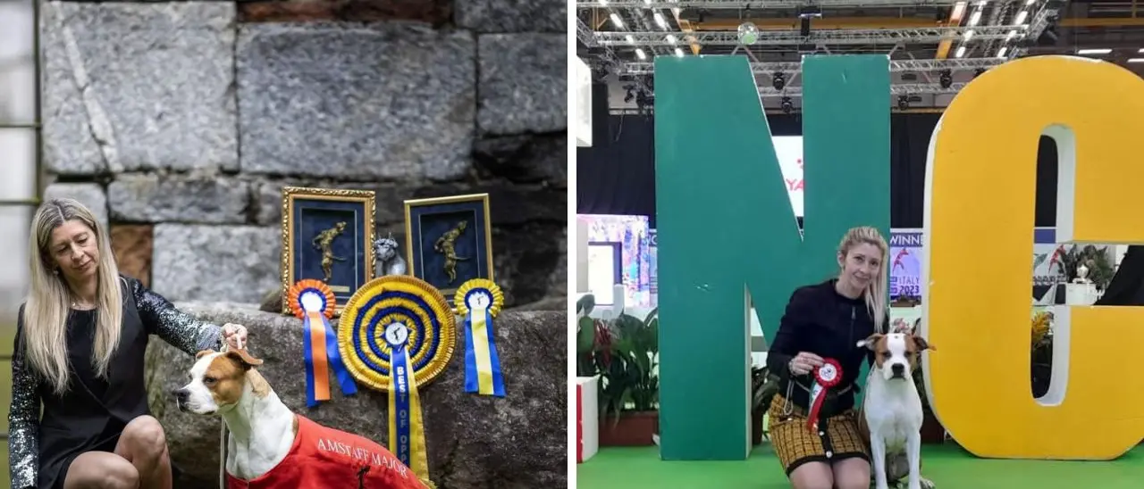 Da Nicotera a Bologna per l’Enci winner: l’amstaff Macarena diventa campionessa italiana