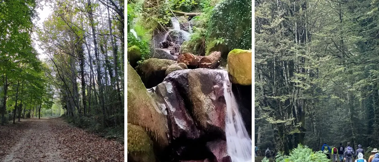 Un viaggio nella storia locale e nei boschi serresi: tutto pronto per l’escursione dedicata al sentiero Frassati