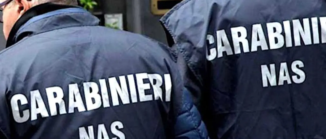Controlli alimentari di Siam e Nas a Serra San Bruno: 6 ristoratori sanzionati e 300 chili di cibo non tracciato sequestrato