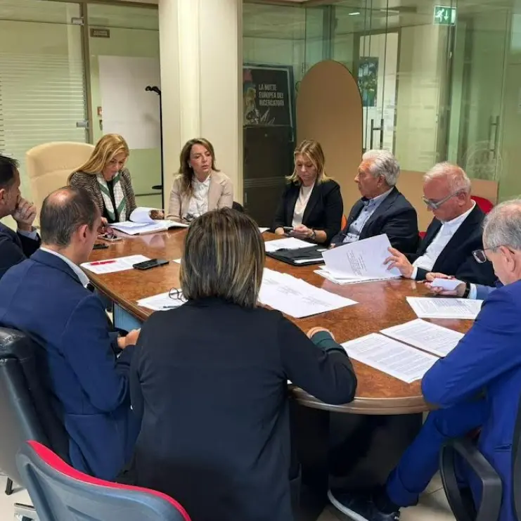 Biblioteche calabresi, il sindaco Romeo: «Vibo ha bisogno del sostegno della Regione»