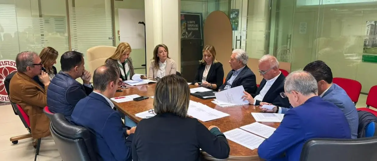 Biblioteche calabresi, il sindaco Romeo: «Vibo ha bisogno del sostegno della Regione»