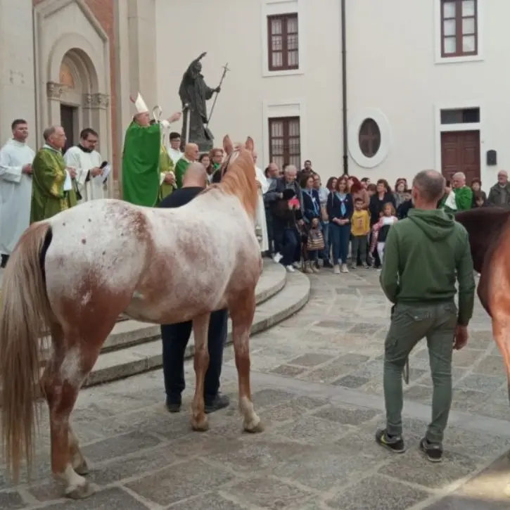 A Mileto la Giornata del ringraziamento: il vescovo Nostro benedice i lavoratori dei campi, mezzi agricoli e animali radunati in piazza